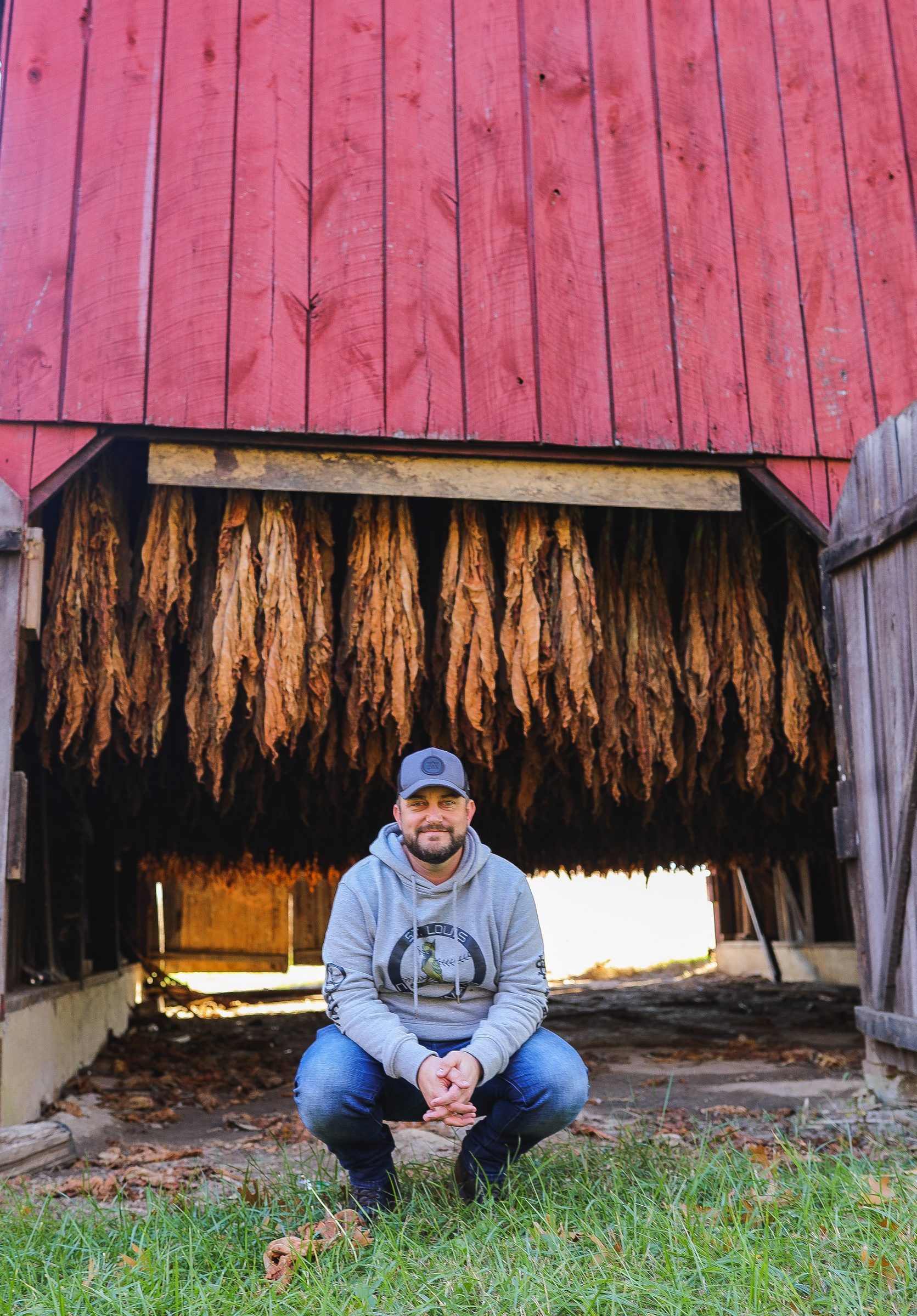 Joshua Brown crouching in front of a red barn with tobacco leaves hanging inside to dry.
